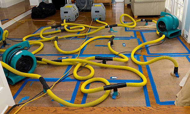 Professional Sewage Cleanup technician working in Windham, NY
